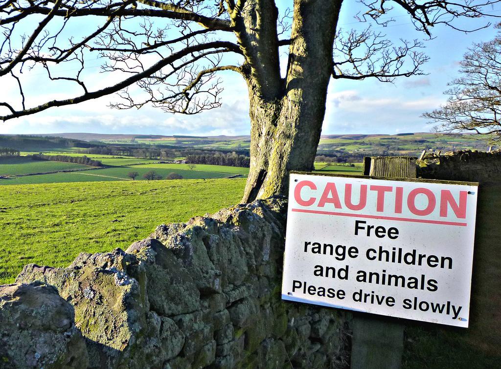 Rye Hill Farm Hexham Exterior foto