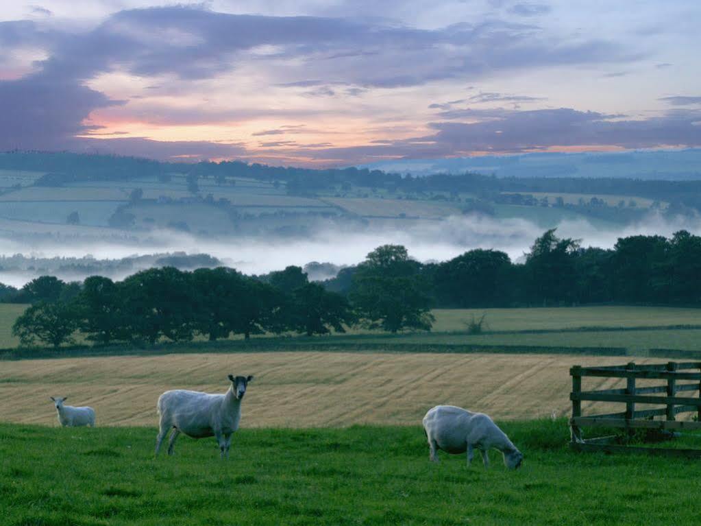 Rye Hill Farm Hexham Exterior foto